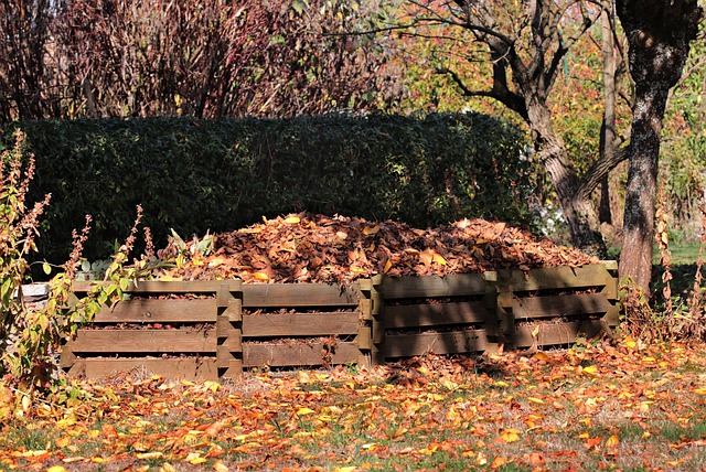Co ‍nepatří ⁤do kompostu: Varování před chybami