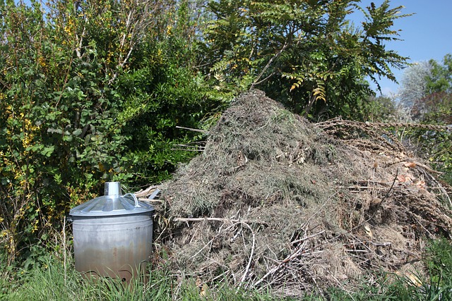 3. Kompostování doma: Jednoduché a životní prostředí šetřící řešení