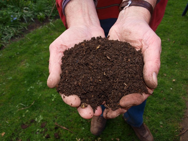 Jaké ‌umělé hnojivo‍ přidat do kompostu: Zlepšete kvalitu kompostu