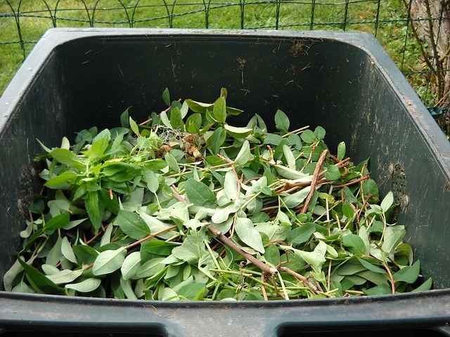 4. Tipy na kompostování - jak zpracovat bioodpad doma a vytvořit vlastní kompost