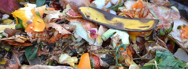 Inovativní způsoby využití kompostu v domácnosti